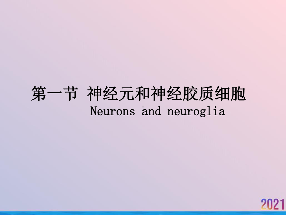 生理学神经系统教案课件.ppt_第3页