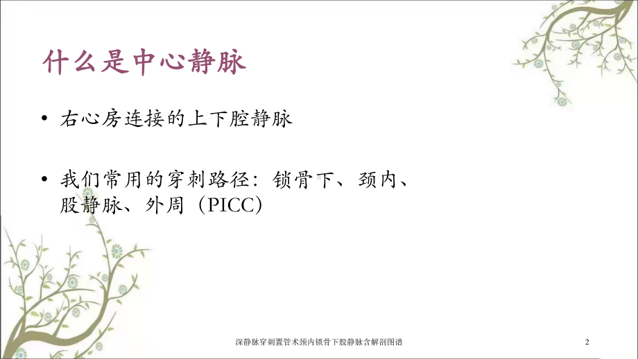 深静脉穿刺置管术颈内锁骨下股静脉含解剖图谱课件.ppt_第2页