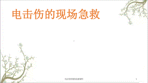 电击伤的现场急救课件.ppt