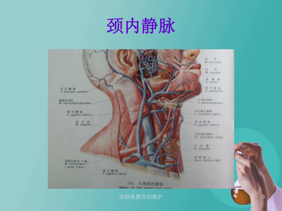 深静脉置管的维护培训课件.ppt_第3页