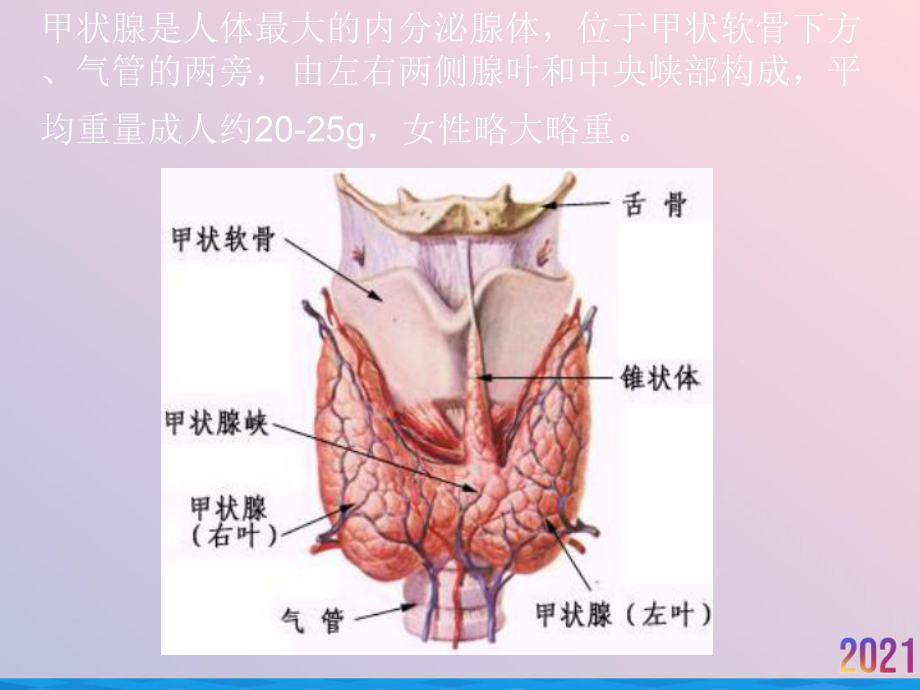 甲状腺腺瘤病人术前术后护理课件.ppt_第3页