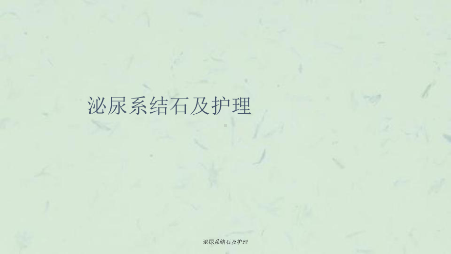 泌尿系结石及护理课件.ppt_第1页