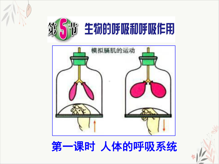 浙教版科学八级下册生物的呼吸和呼吸作用课件.pptx_第1页