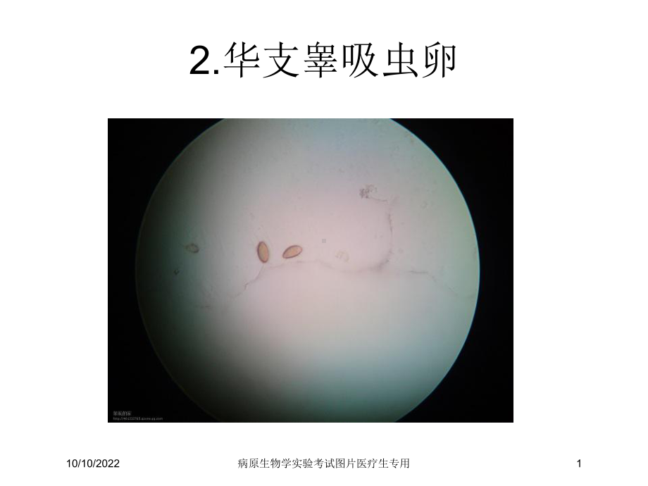 病原生物学实验考试图片医疗生专用培训课件.ppt_第1页