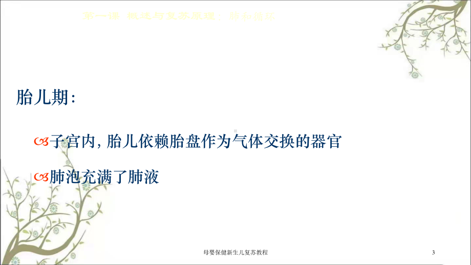 母婴保健新生儿复苏教程课件.ppt_第3页