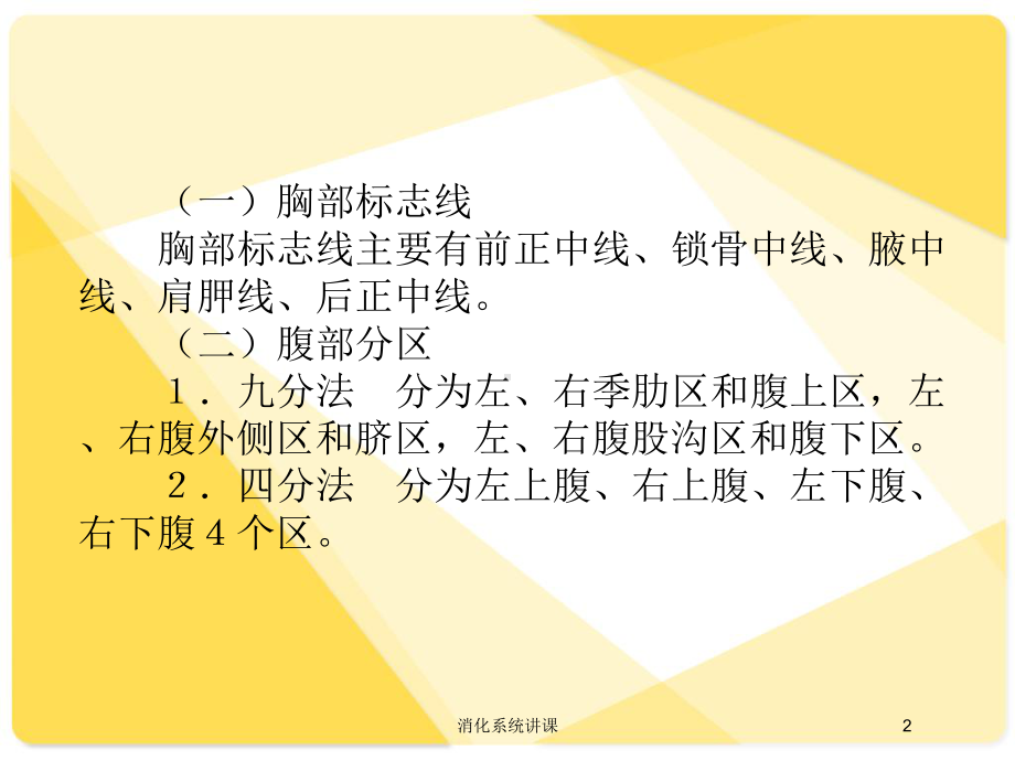 消化系统讲课培训课件.ppt_第2页