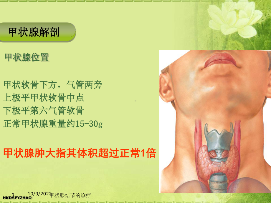 甲状腺结节的诊疗培训课件.ppt_第3页