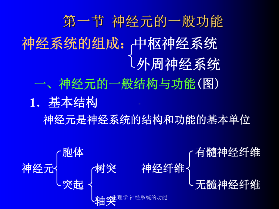 生理学-神经系统的功能课件.ppt_第2页