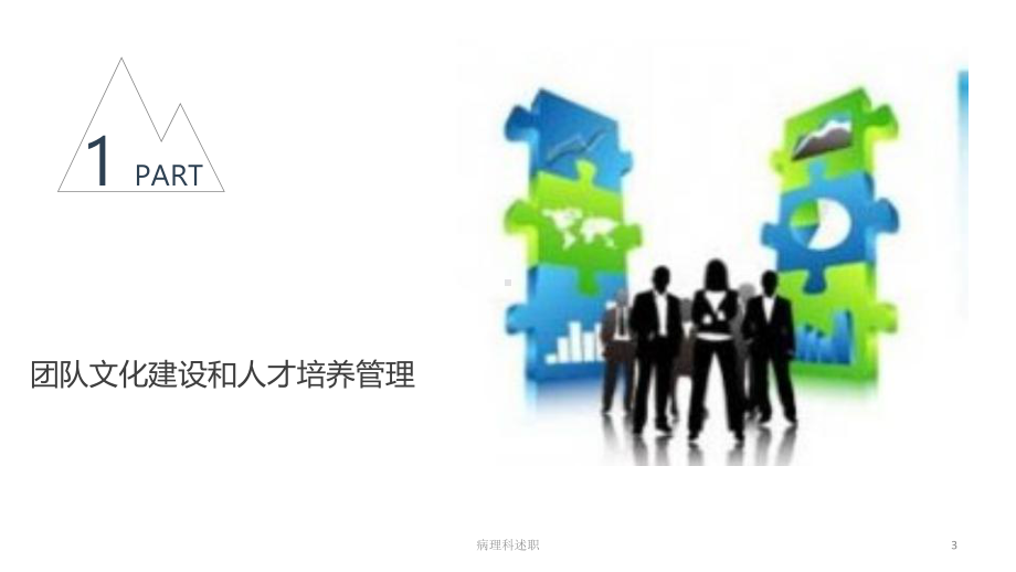 病理科述职培训课件.ppt_第3页