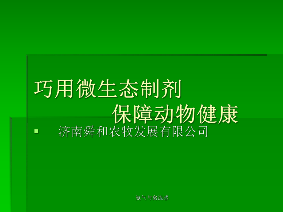 氨气与禽流感课件.ppt_第2页