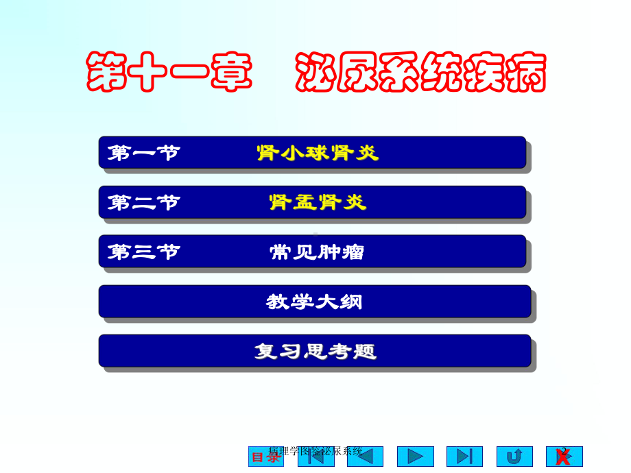 病理学图鉴泌尿系统培训课件.ppt_第2页