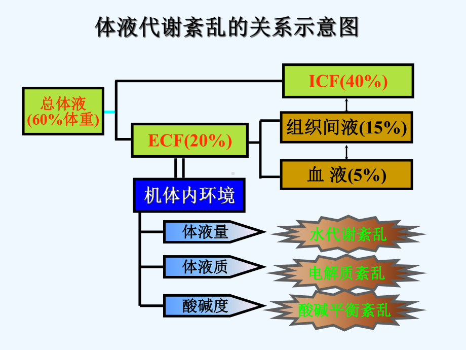 病理生理酸碱紊乱课件.ppt_第2页