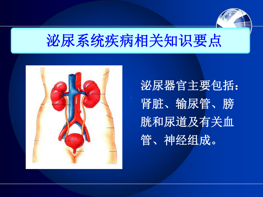 泌尿系统疾病病人护理课件.pptx_第2页