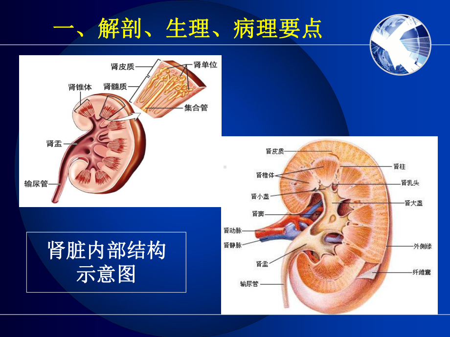 泌尿系统疾病病人护理课件.pptx_第3页