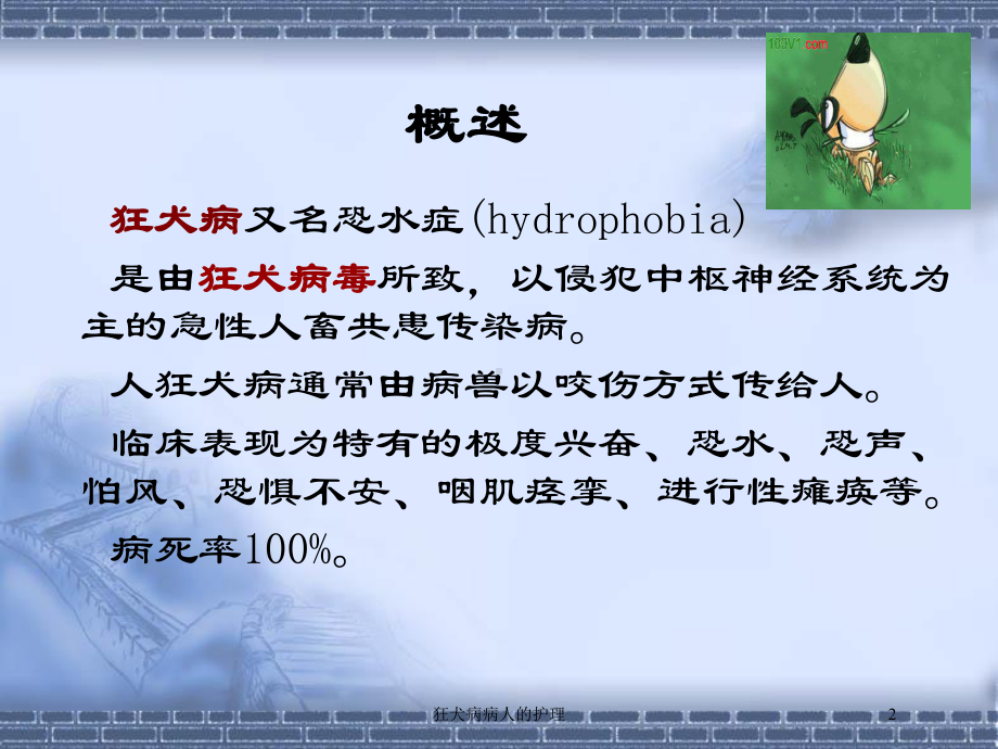 狂犬病病人的护理培训课件.ppt_第2页