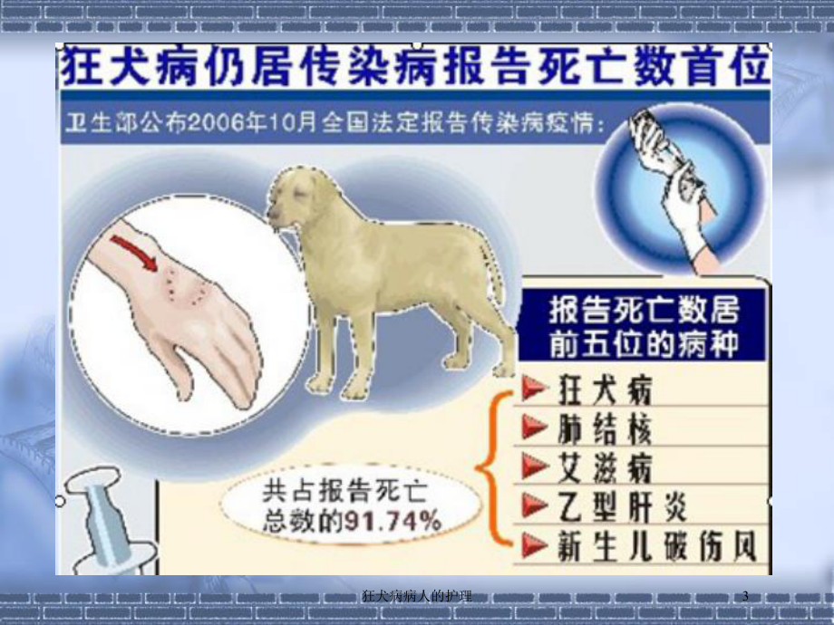 狂犬病病人的护理培训课件.ppt_第3页