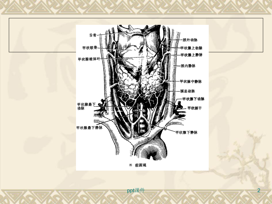 甲状腺功能亢进的外科治疗-课件.ppt_第2页