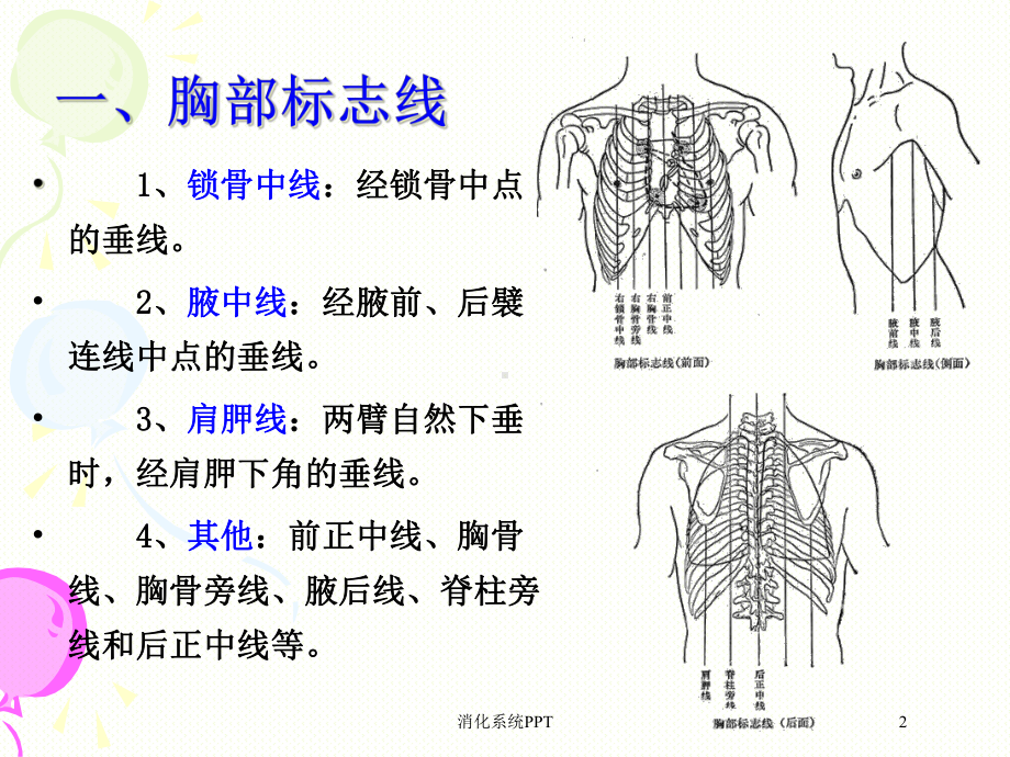 消化系统培训课件-2.ppt_第2页