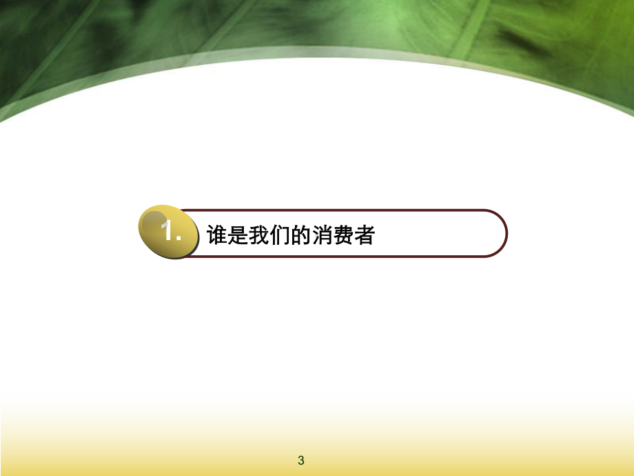 消费者与消费心理分析课件.ppt_第3页