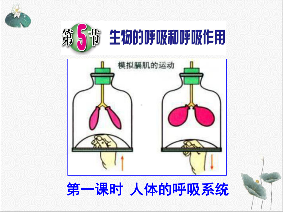 生物的呼吸和呼吸作用浙教版八级科学下册课件.pptx_第1页