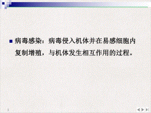 病毒的感染和免疫总结公开课课件.pptx