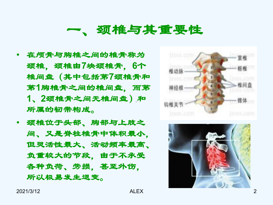 生活方式与养生颈椎保健课件.ppt_第2页