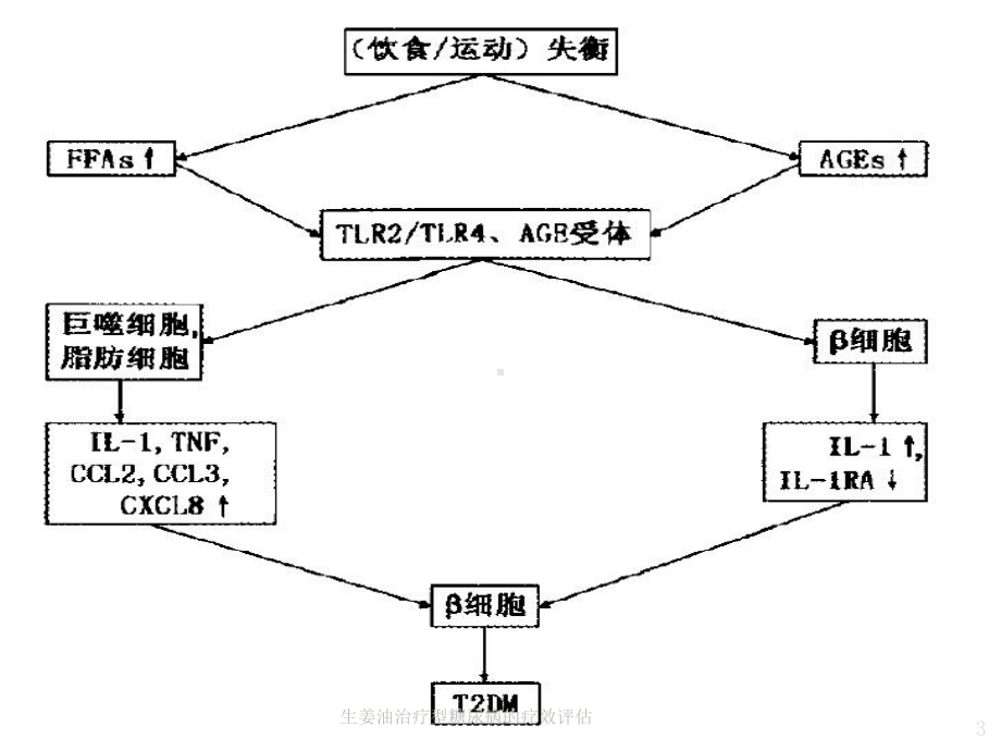 生姜油治疗型糖尿病的疗效评估培训课件.ppt_第3页