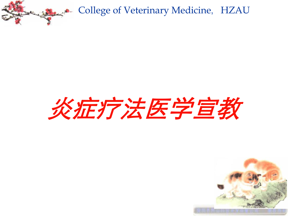 炎症疗法医学宣教培训课件.ppt_第1页