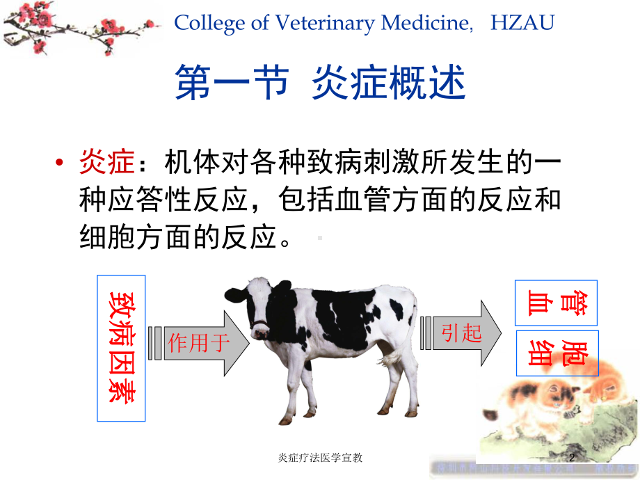 炎症疗法医学宣教培训课件.ppt_第2页