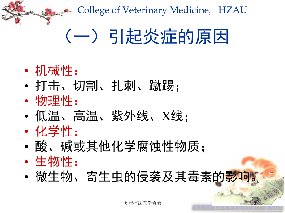 炎症疗法医学宣教培训课件.ppt_第3页