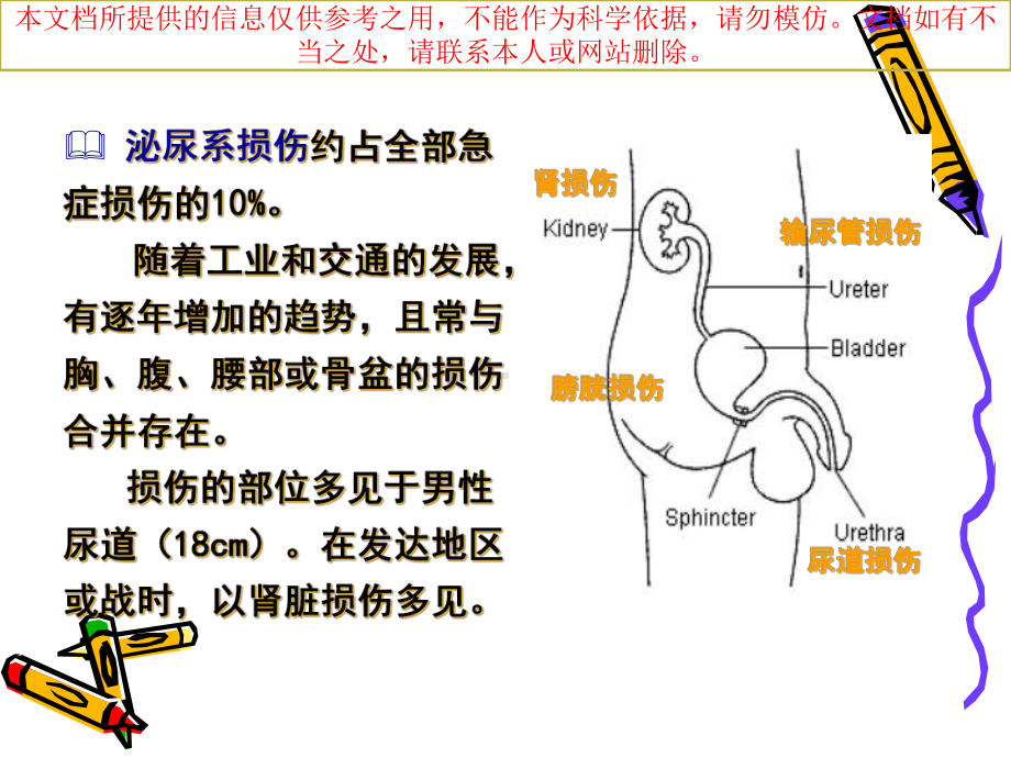 泌尿系损伤专题知识宣讲培训课件.ppt_第3页