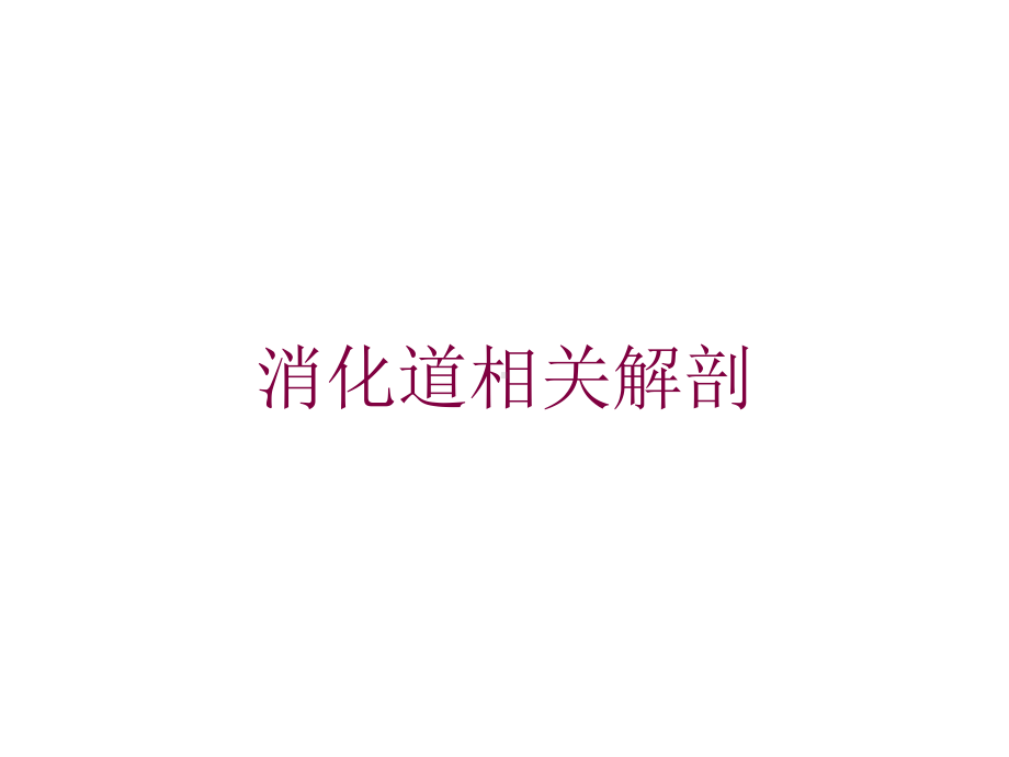 消化道相关解剖培训课件.ppt_第1页