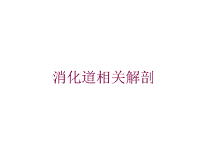 消化道相关解剖培训课件.ppt