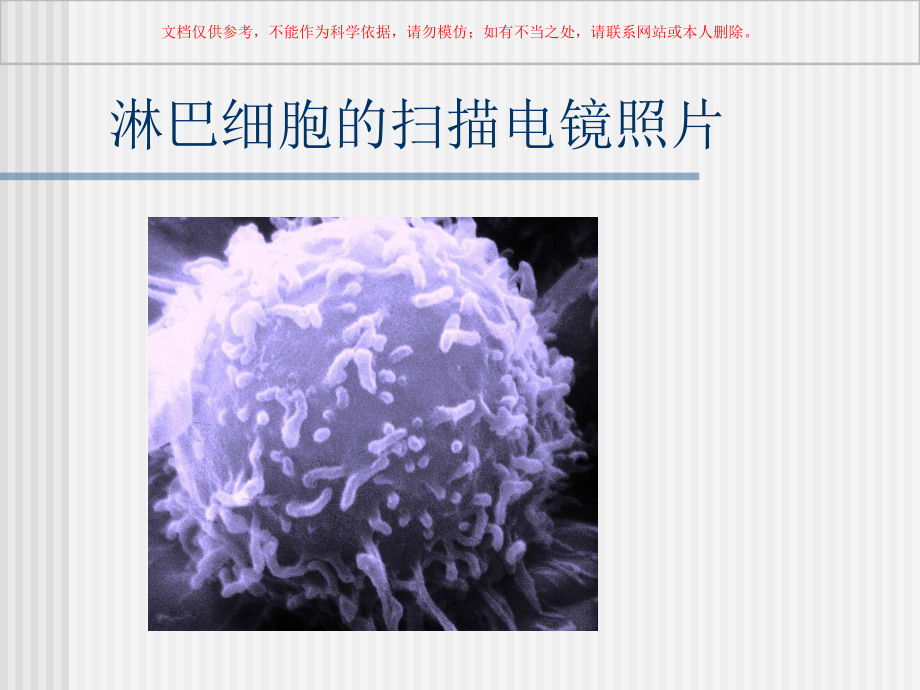 淋巴细胞亚群和其活化状态测定的临床应用课件.ppt_第2页