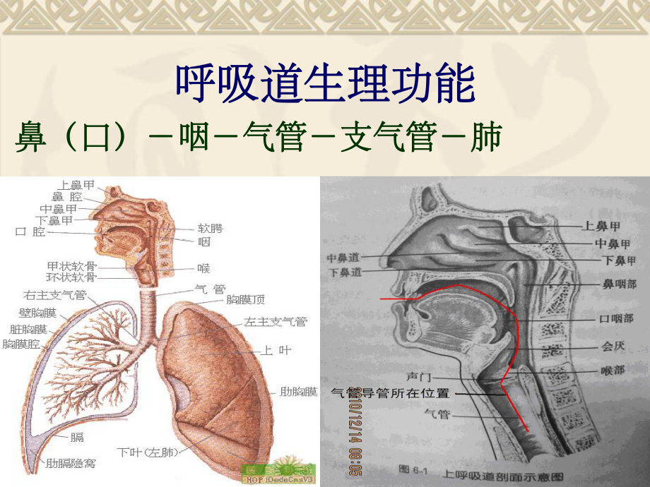 气管切开的护理课件-4.ppt_第3页