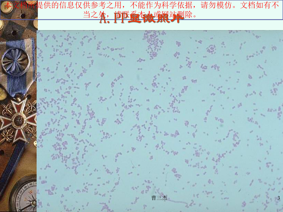 猪传染性胸膜肺炎培训课件.ppt_第3页