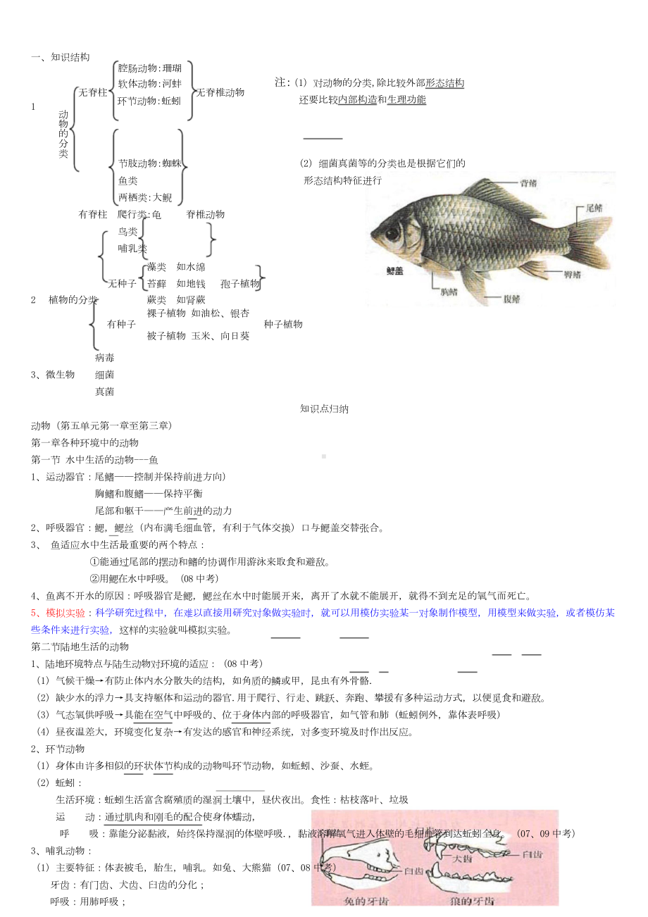 人教版八年级生物上册知识点总结(全面).doc_第1页