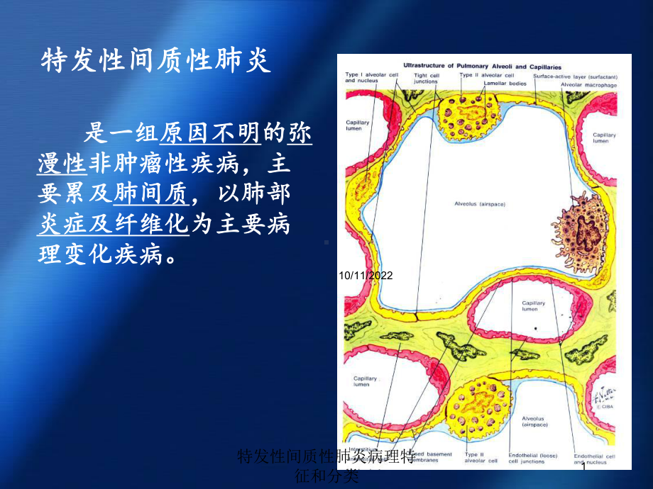 特发性间质性肺炎病理特征和分类培训课件.ppt_第1页