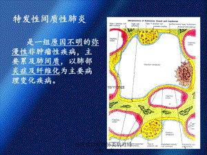 特发性间质性肺炎病理特征和分类培训课件.ppt