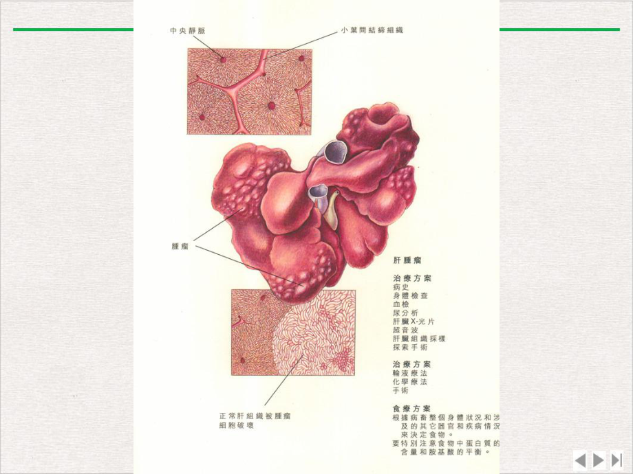 犬猫肝胆病的诊断和治疗实用版课件.ppt_第3页