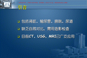 泌尿系统影像学培训课件.ppt