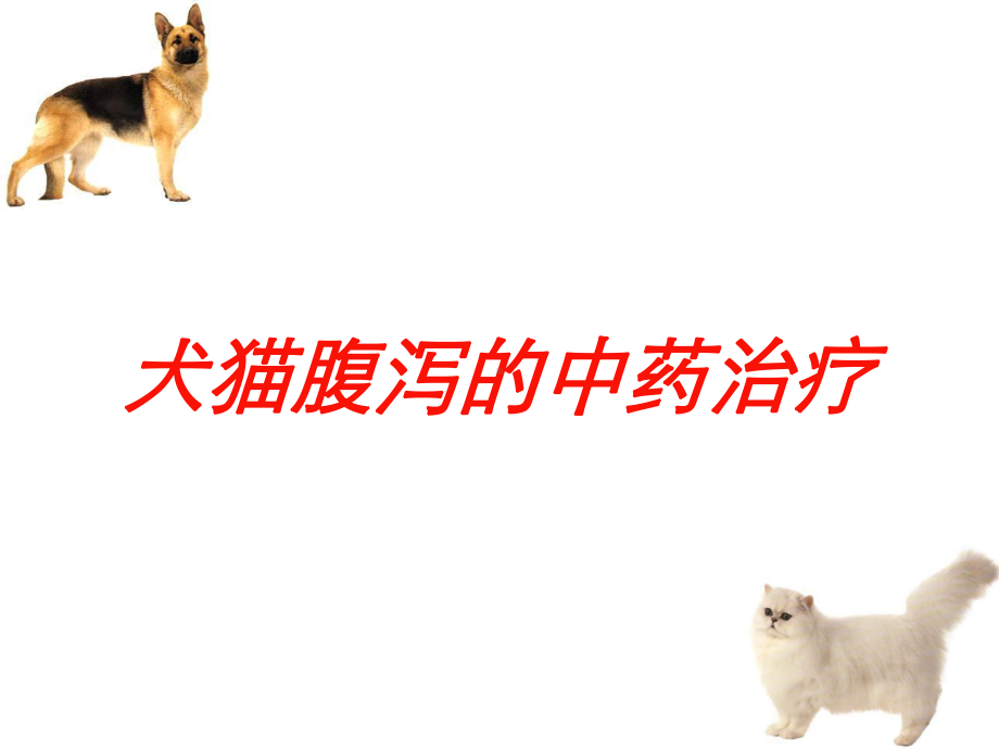 犬猫腹泻的中药治疗培训课件.ppt_第1页