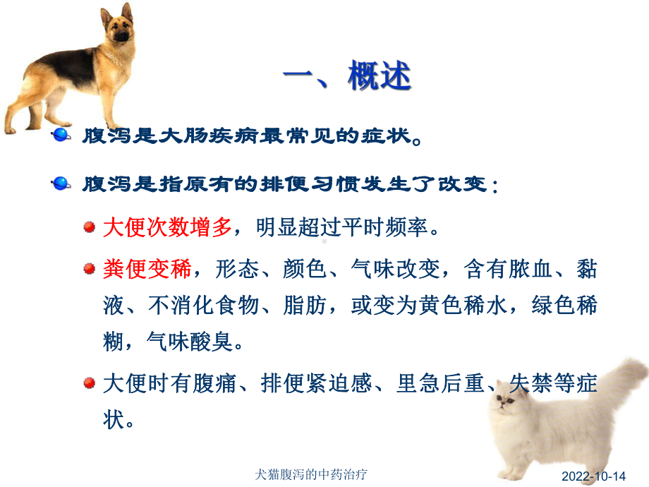 犬猫腹泻的中药治疗培训课件.ppt_第2页