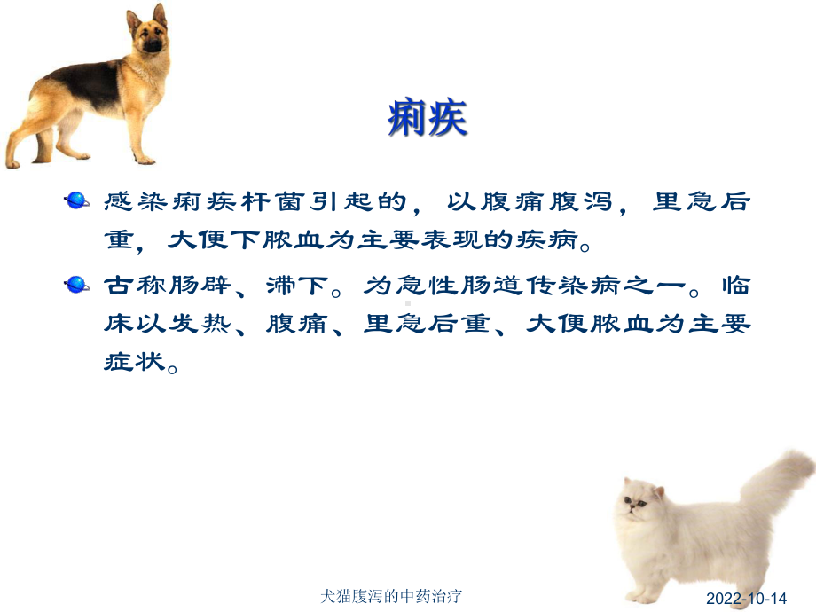 犬猫腹泻的中药治疗培训课件.ppt_第3页