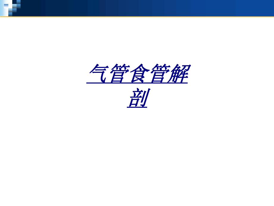 气管食管解剖讲义课件.ppt_第1页