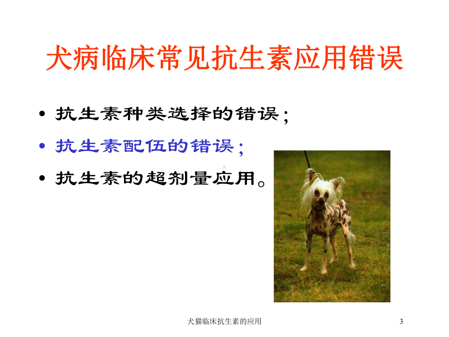 犬猫临床抗生素的应用培训课件.ppt_第3页