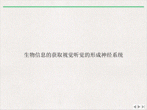 生物信息的获取视觉听觉的形成神经系统实用版课件.ppt