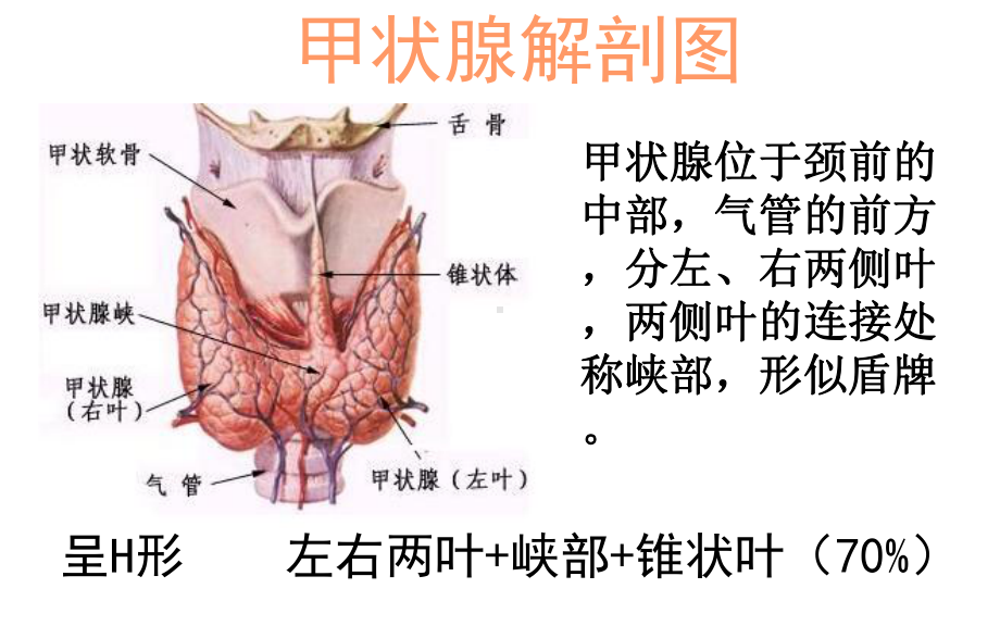 甲状腺的超声解读课件.ppt_第2页