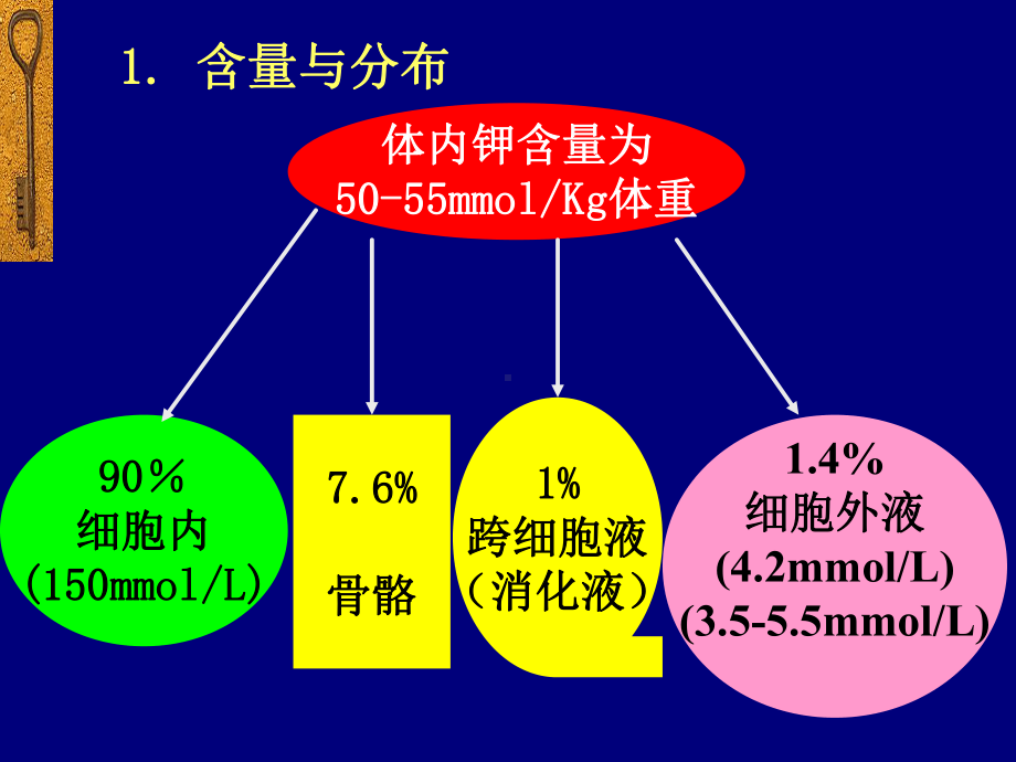 生理病理学钾代谢紊乱8版课件.pptx_第3页