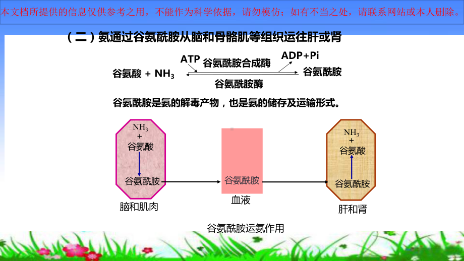 氨的代谢医学培训课件.ppt_第3页